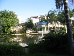 Click to See Next Image